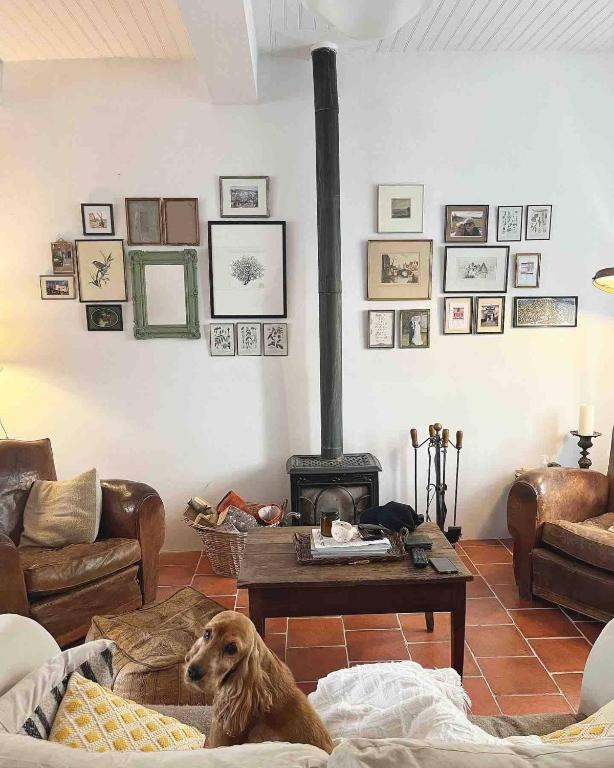 un chien assis sur un canapé dans un salon avec une cheminée dans l'établissement La Maison de Mama C: Charming french village home, à Sainte-Colombe-sur-lʼHers