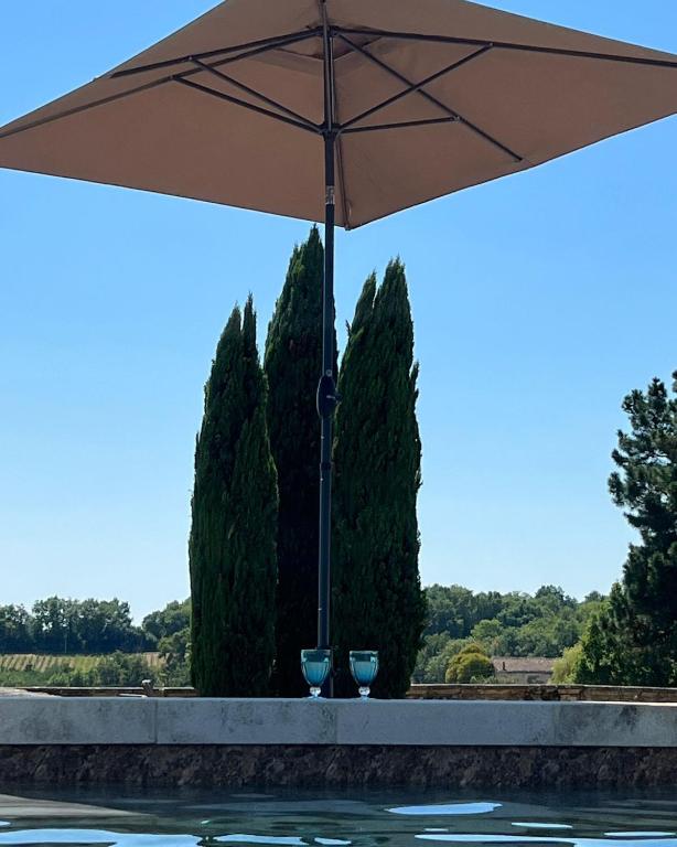 two wine glasses sitting under an umbrella next to a swimming pool at Jardin Meurin in Tabanac