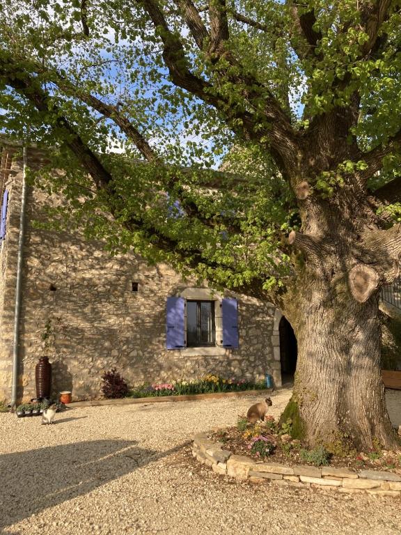 Fotografia z galérie ubytovania Chambre d'hôtes Lavande- A l'Ombre des Tilleuls v destinácii Lagorce