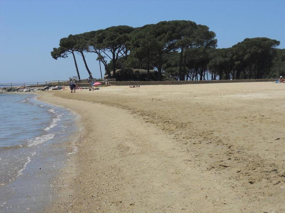 une plage de sable avec des arbres en arrière-plan dans l'établissement La Londe les pieds dans l'eau, à La Londe-les-Maures