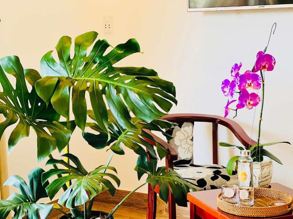 Fotografie z fotogalerie ubytování Thuy House Hoi An v destinaci Hoi An