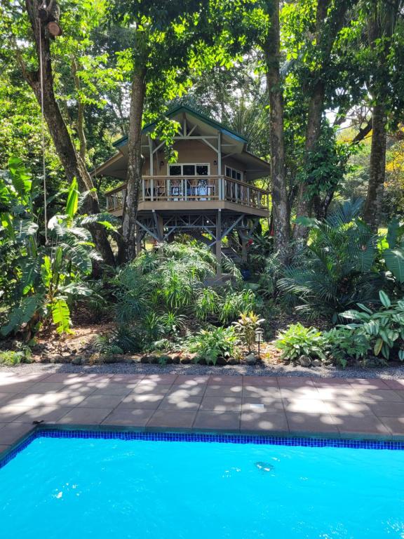 a house in the woods with a pool in front of it at Treehouse La Hierba, Pavones in Pavones