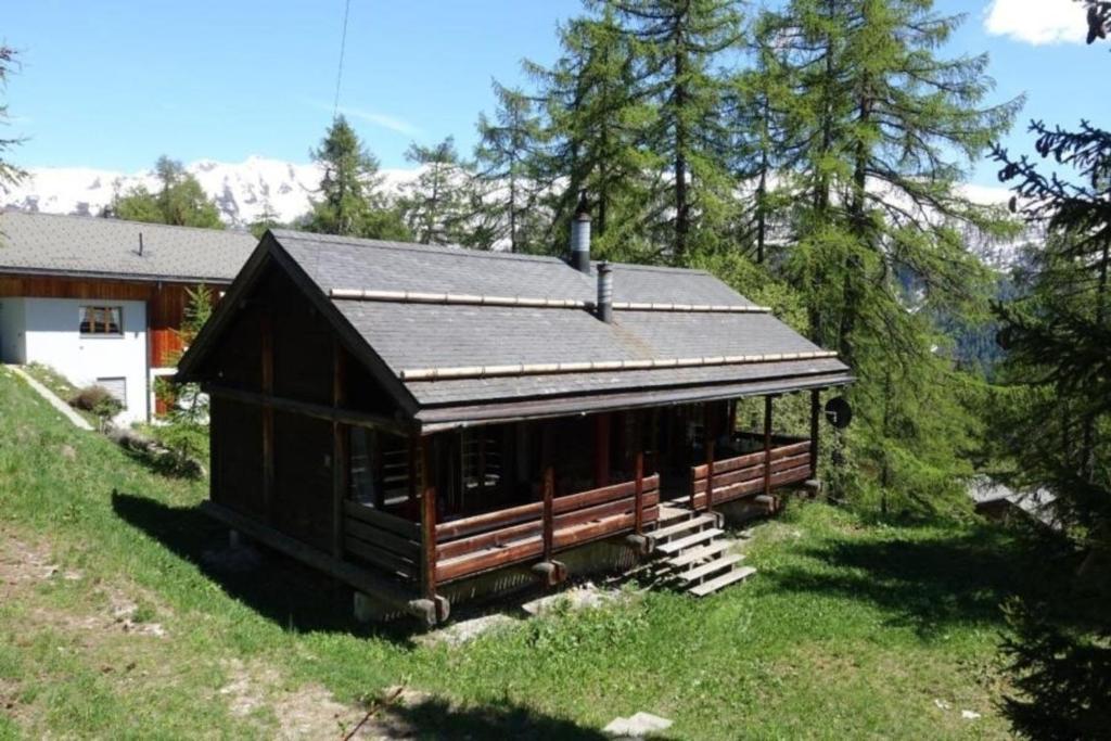 een kleine hut met een zwart dak in het gras bij Haus Pfahl in Bellwald