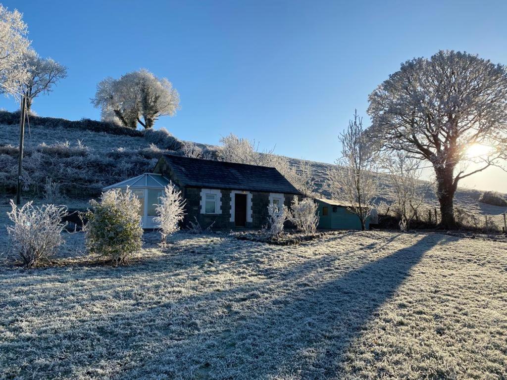 a house in the middle of a field with trees at Ramulligan Cottage in Cavan