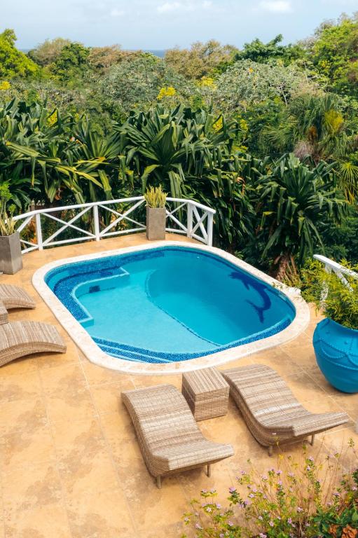 Bazén v ubytování Blue Roatan Resort nebo v jeho okolí