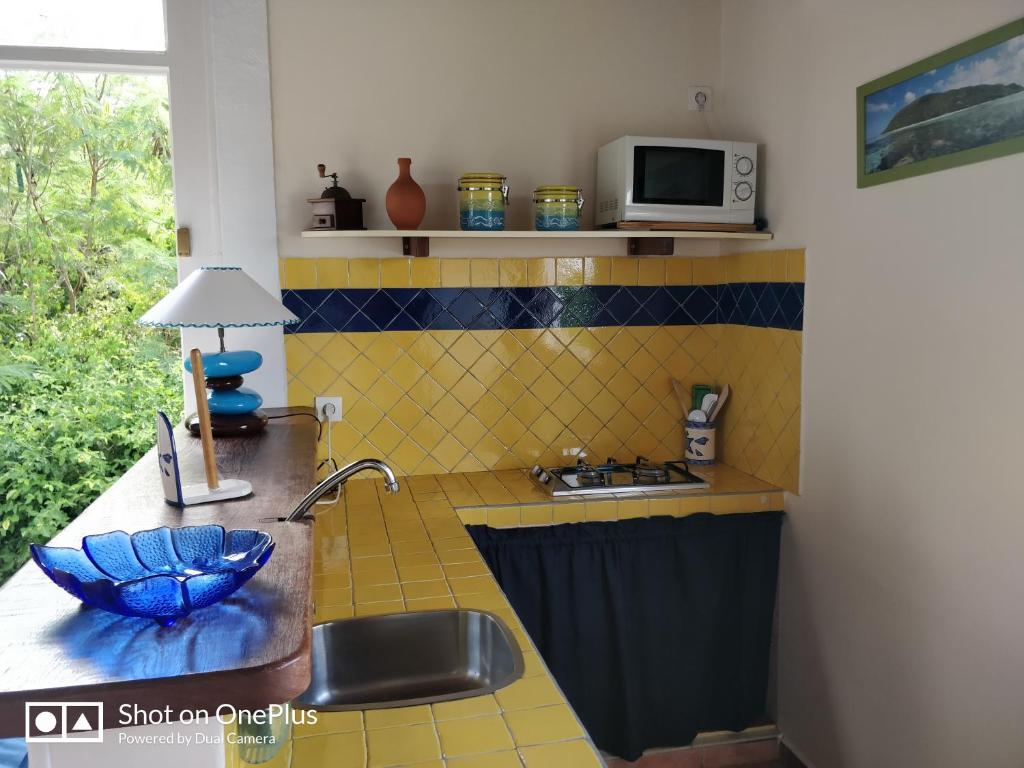 een keuken met een wastafel en een magnetron bij Cocooning sur mer Bungalow in Sainte-Anne