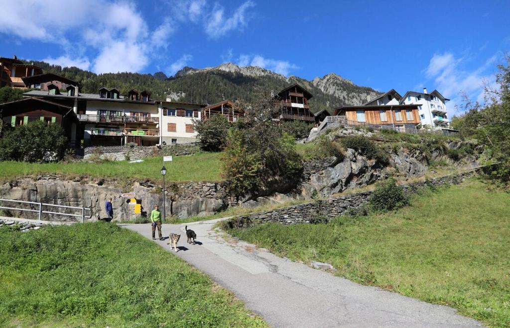 Příroda nedaleko apartmánu
