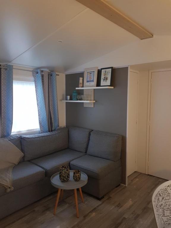 ein Wohnzimmer mit einem Sofa und einem Tisch in der Unterkunft Mobile-home Bonne -Anse Plage in Les Mathes