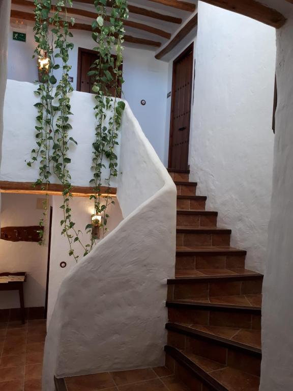 La Posada Amena, Carcabuey – Tarifs 2023