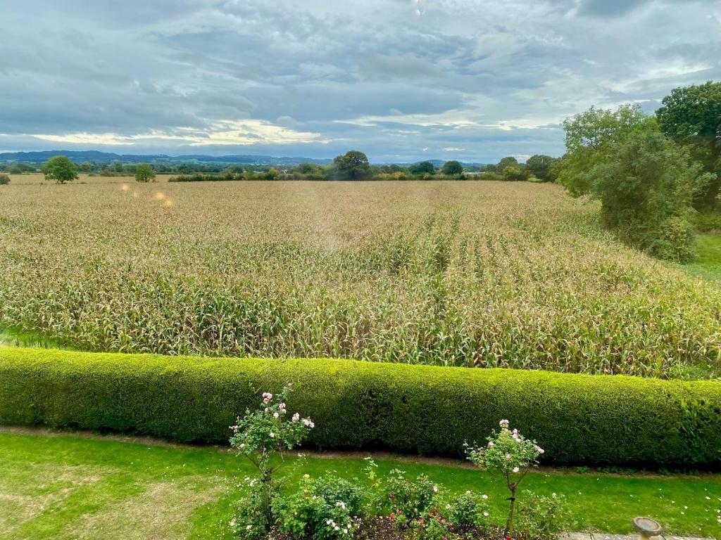 Golborne Manor Bed and Breakfast, Chester Updated 2023 Prices