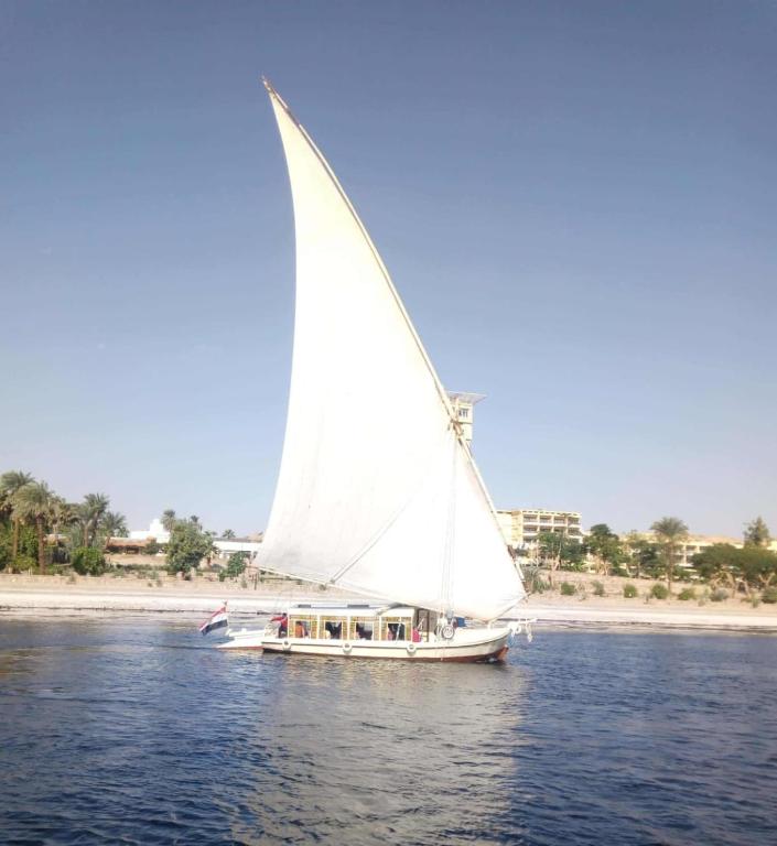Nile Felucca Adventure