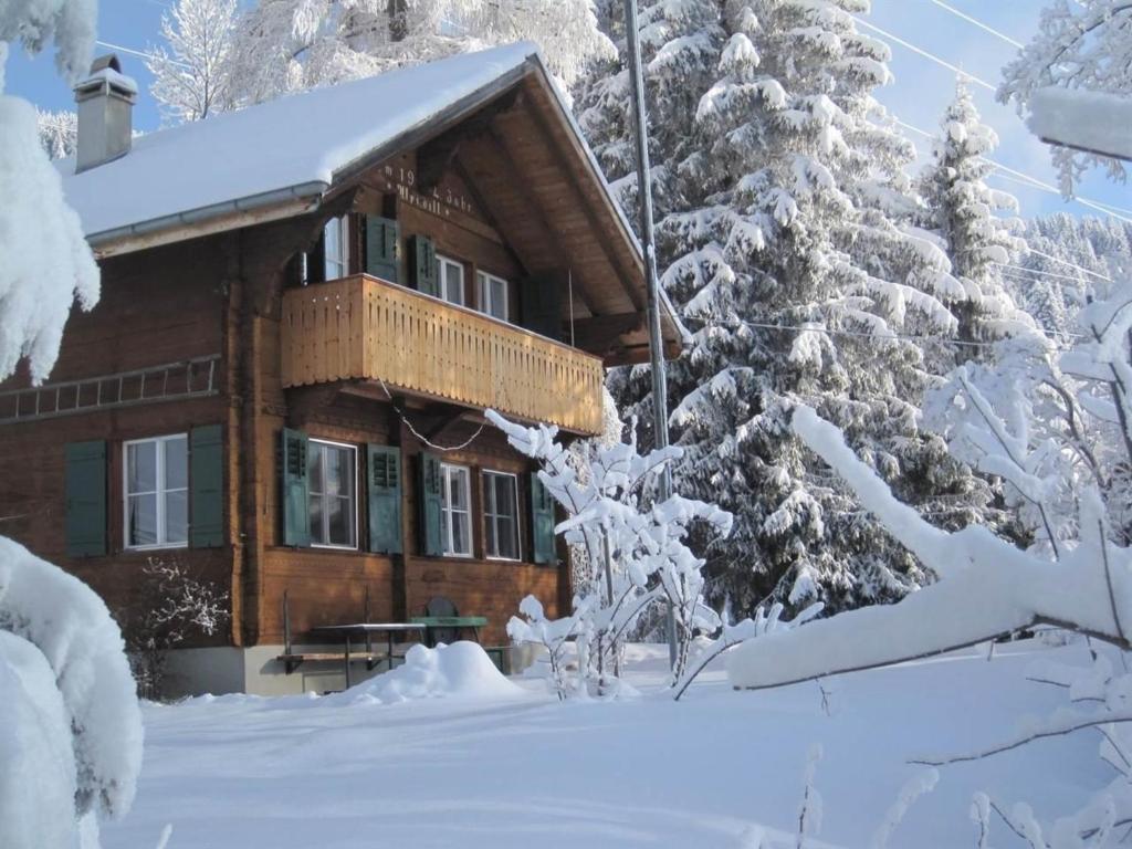 uma cabana de madeira na neve com árvores cobertas de neve em Alpidyll Traditionelles 4 -Zimmer-Einzelchalet em Hasliberg