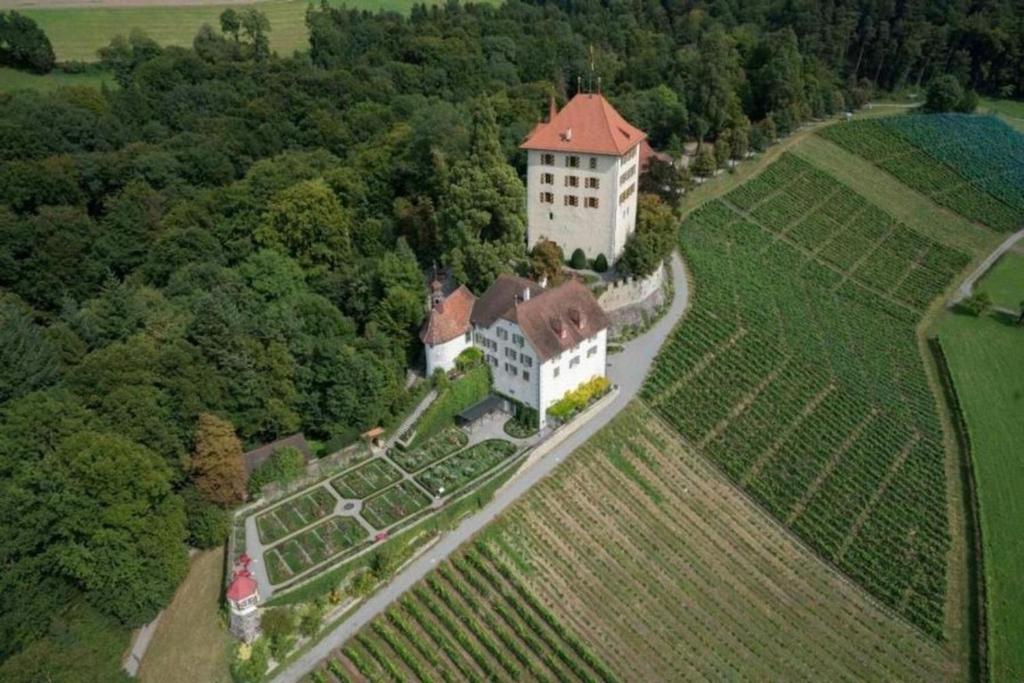 an aerial view of a large white building with a red roof at Ferienwohnung Schloss Heidegg in Gelfingen