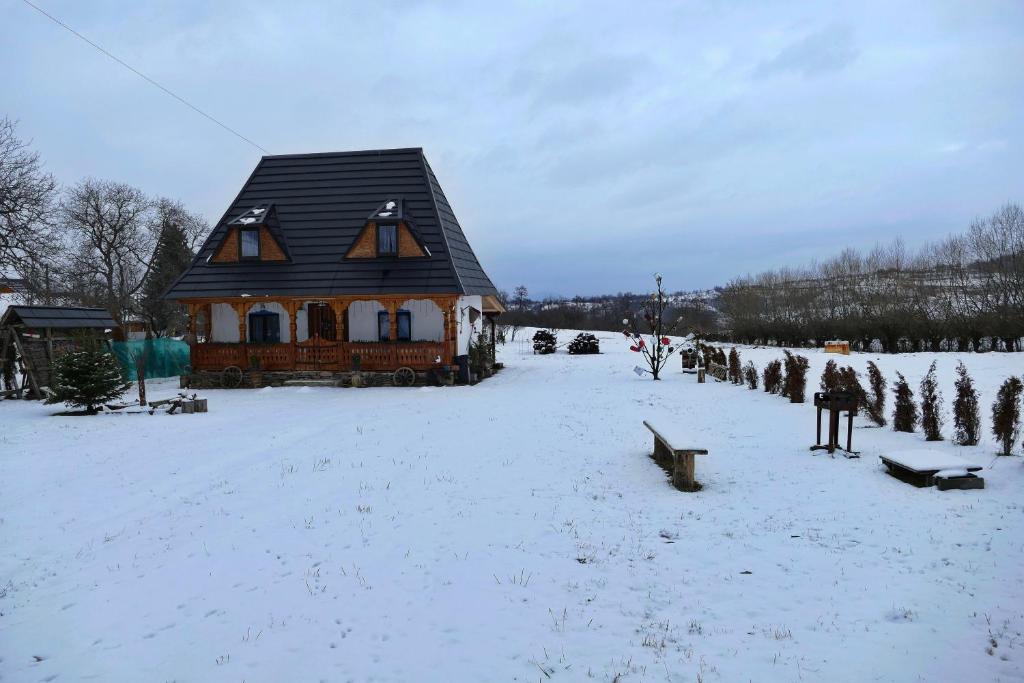 a house in a field with snow on the ground at Roua de sub Creasta in Breb