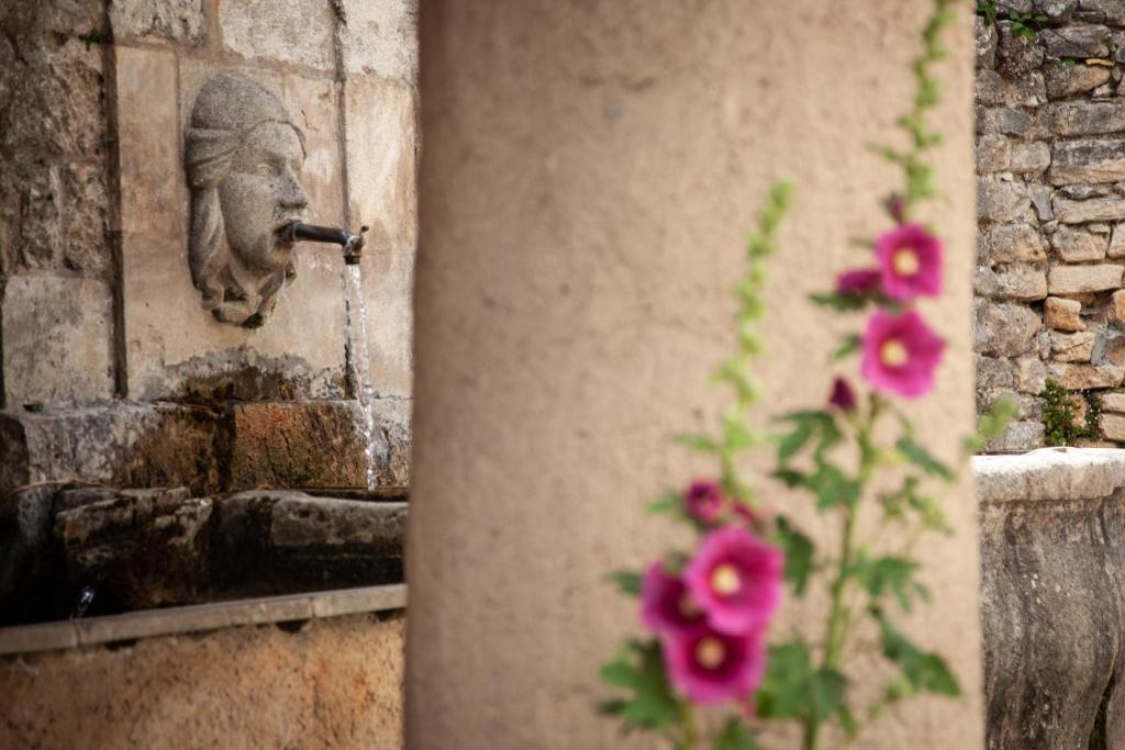 Zdjęcie z galerii obiektu Gîte St Roch en Luberon w mieście Castellet