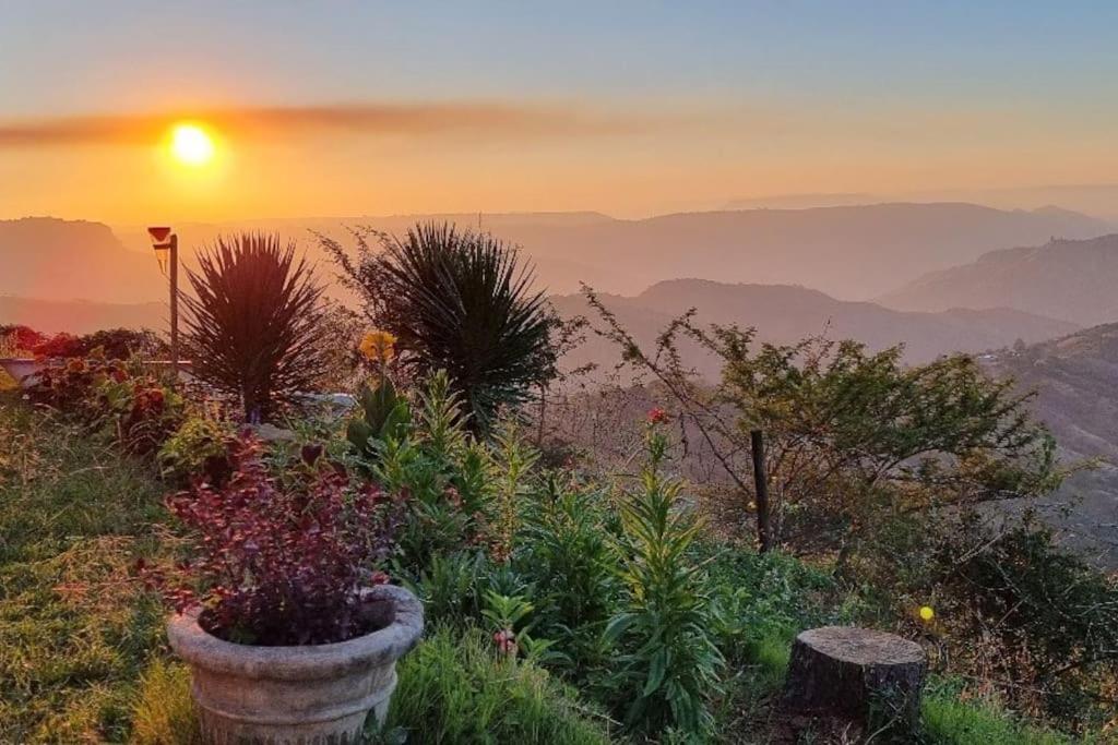 a sunset in the mountains with plants in a pot at Best view of 1000 Hills with shared pool. in Bothaʼs Hill