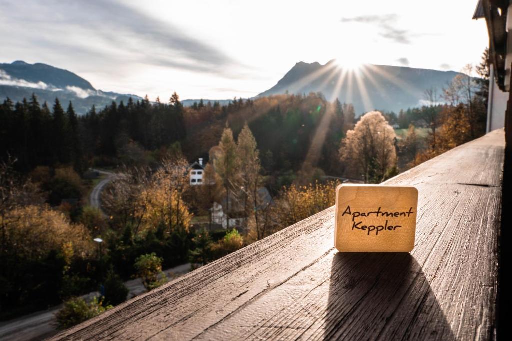 a box sitting on the ledge of a roof at Apartment Keppler in Bad Goisern