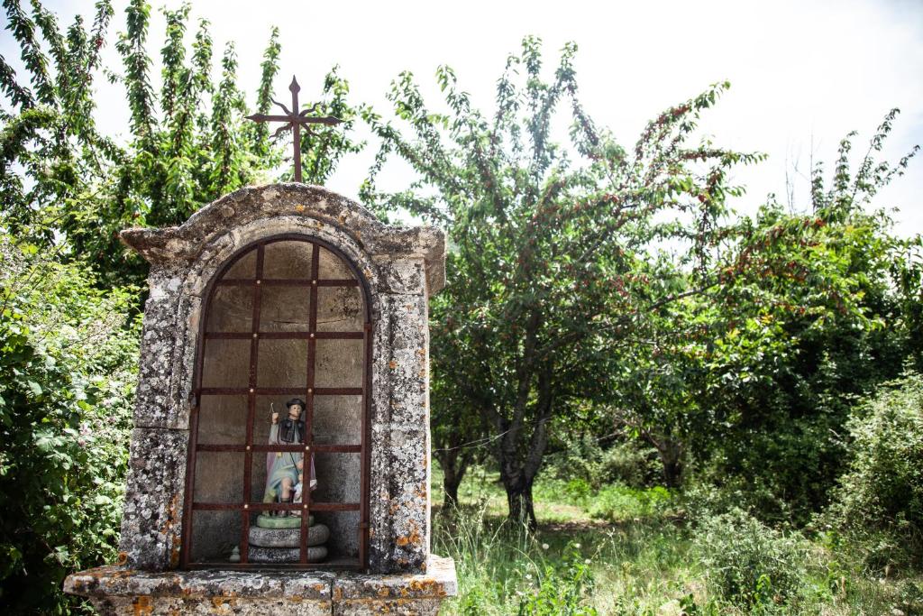 Ogród w obiekcie Gîte St Roch en Luberon