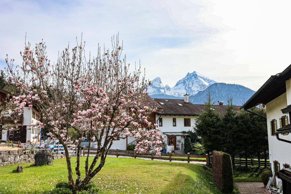 a tree in a yard with mountains in the background at Ferienwohnung Herzinger in Berchtesgaden
