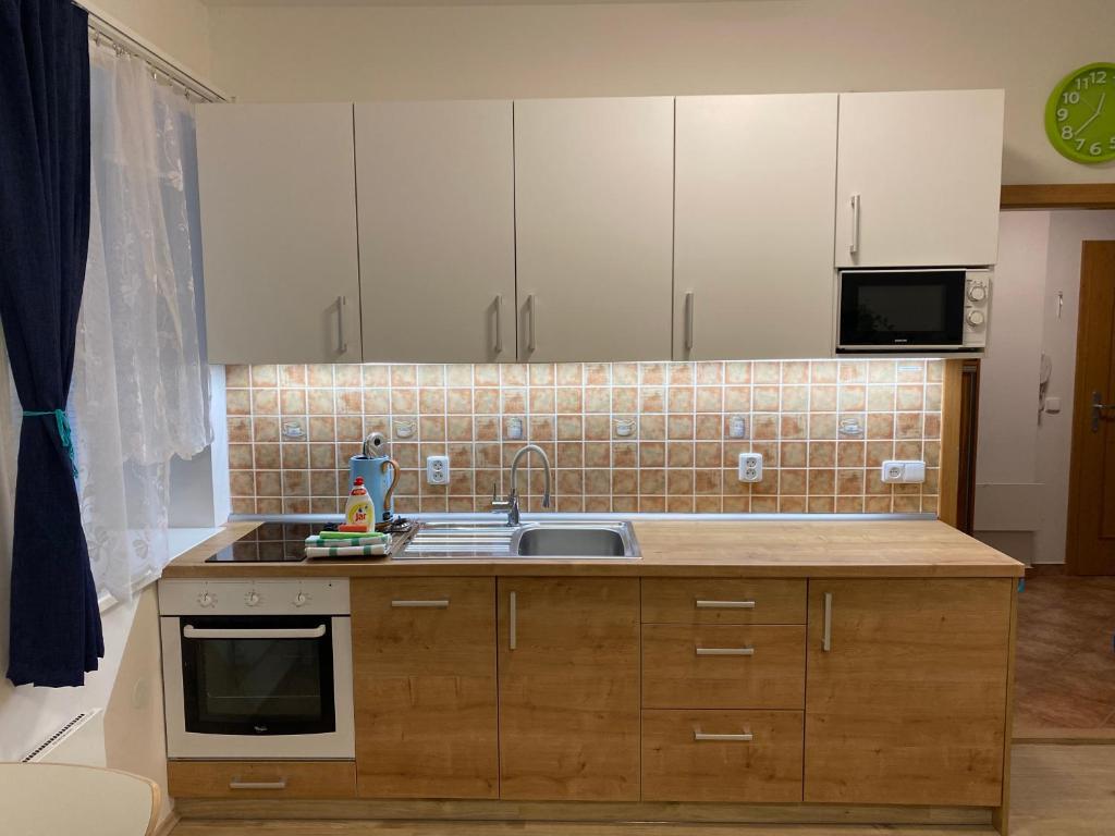 Kuchyň nebo kuchyňský kout v ubytování Apartmán Meluzína