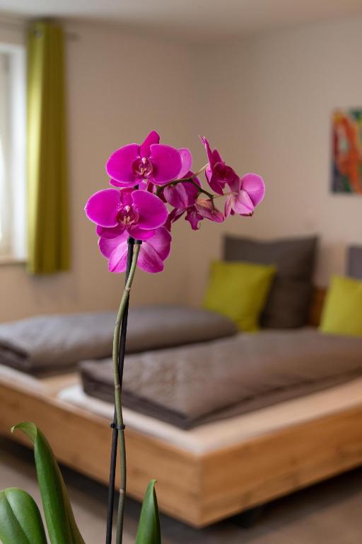 Apartment Alte Raiffeisenkasse Rothenburg ob der Tauber - Appartement Met één Slaapkamer