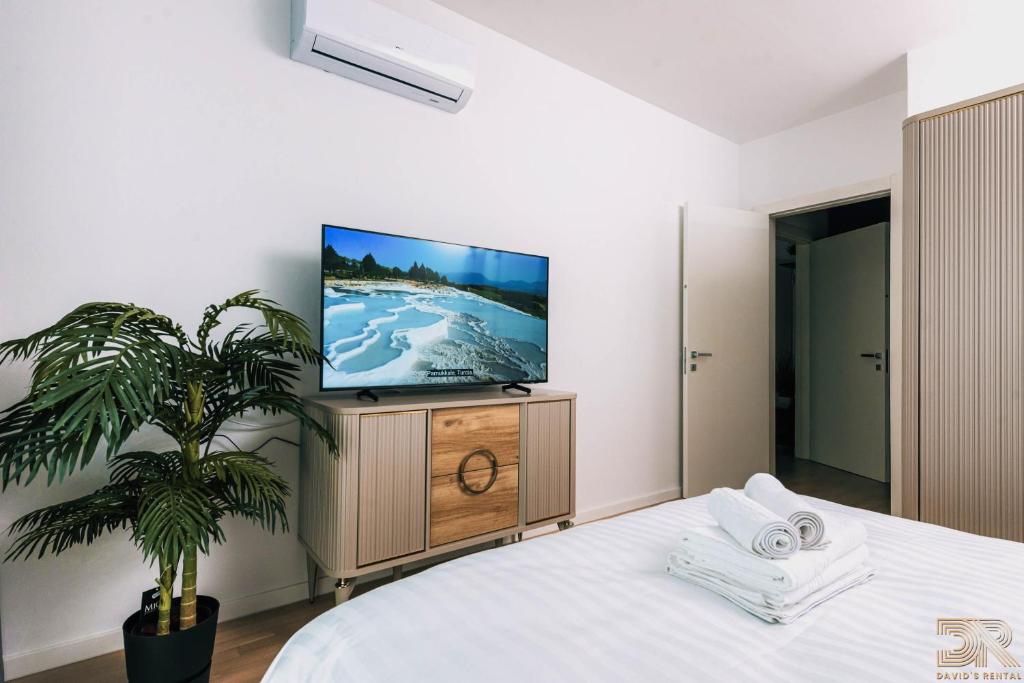 DAVID'S RENTAL APARTMENTs - Apartment With Terrace