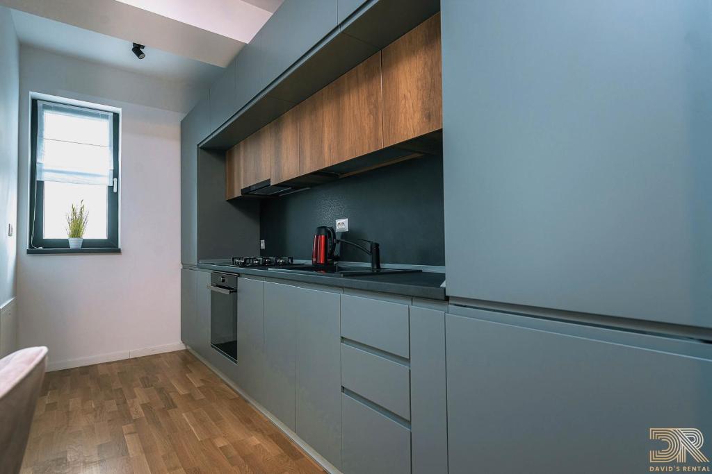 DAVID'S RENTAL APARTMENTs - Apartment With Terrace