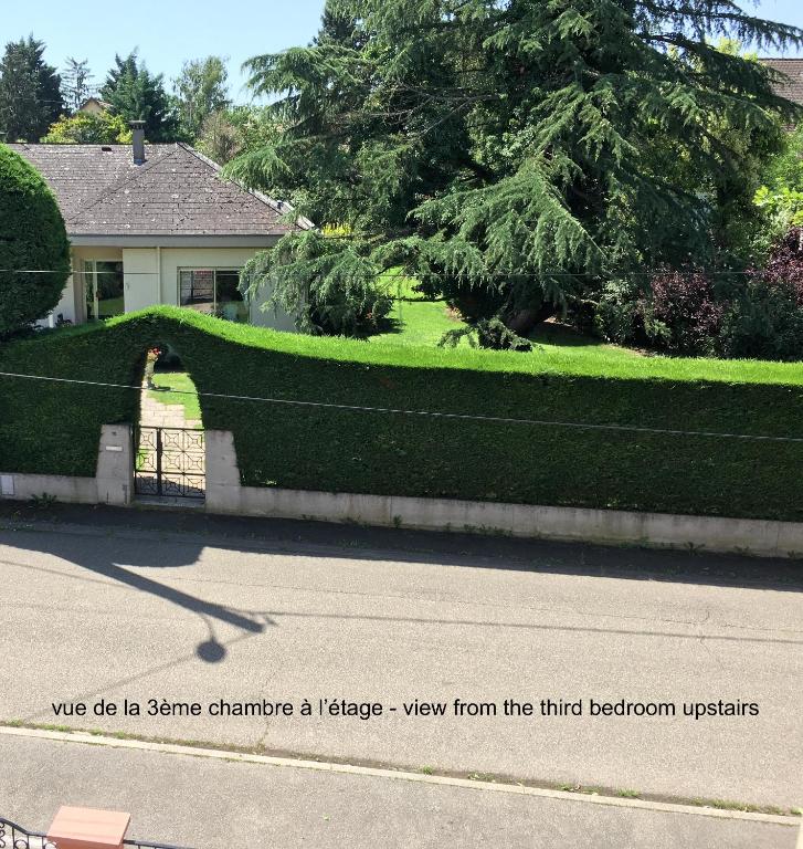 La Maison de Vacances de Colmar et son jardin – photo 28