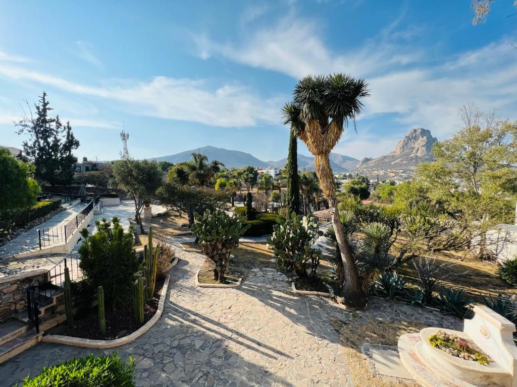 a garden with a palm tree and mountains in the background at Hotel Parador Vernal in Bernal