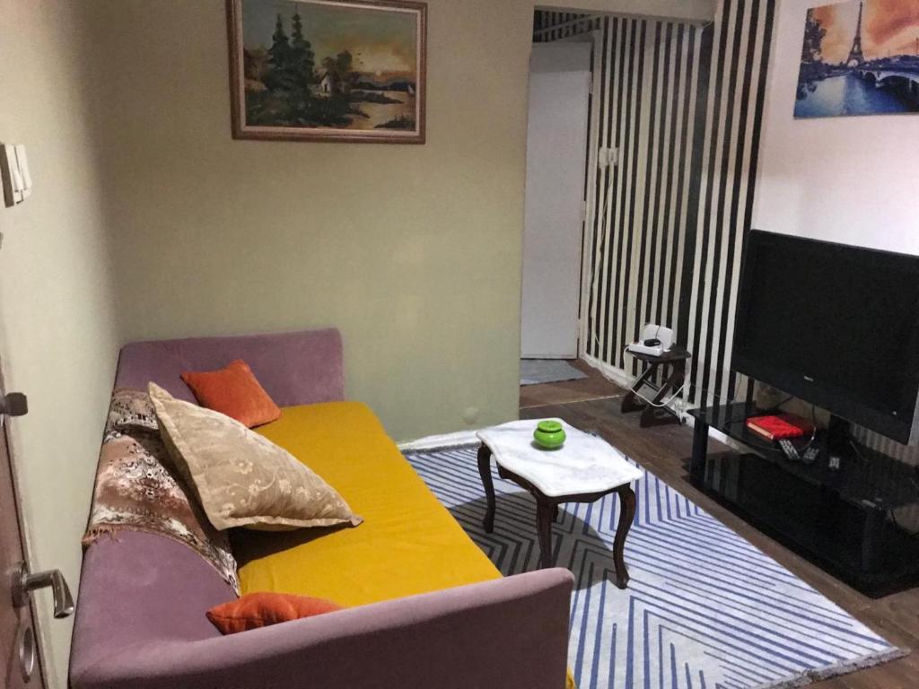 ein Wohnzimmer mit einem Sofa und einem TV in der Unterkunft Uzis double Room in Istanbul