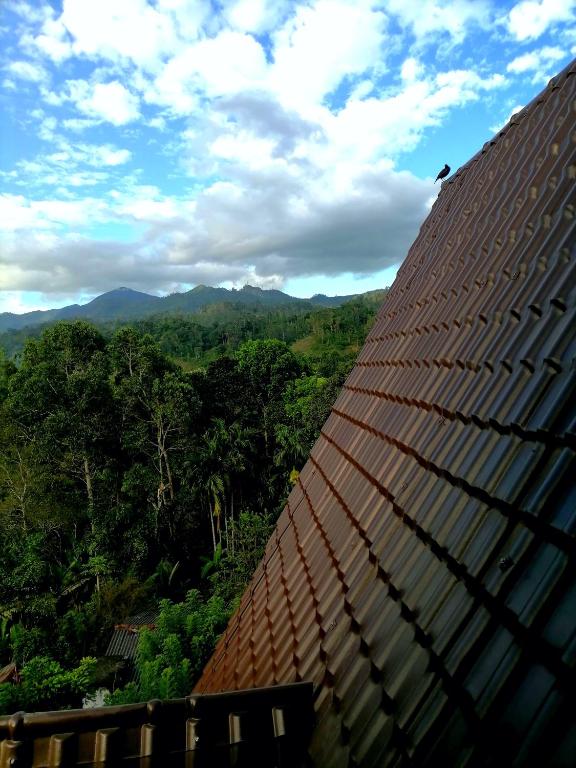 Ella nine arch spice garden - 19