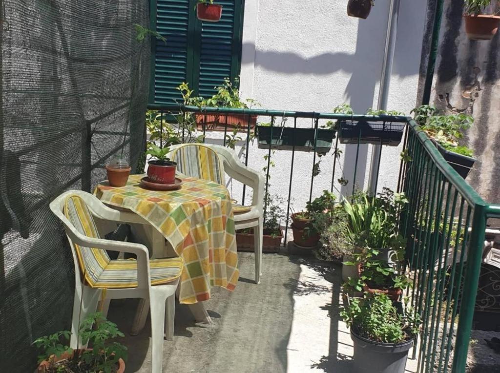 Apartments Iva modern downtown, Split (updated prices 2024)