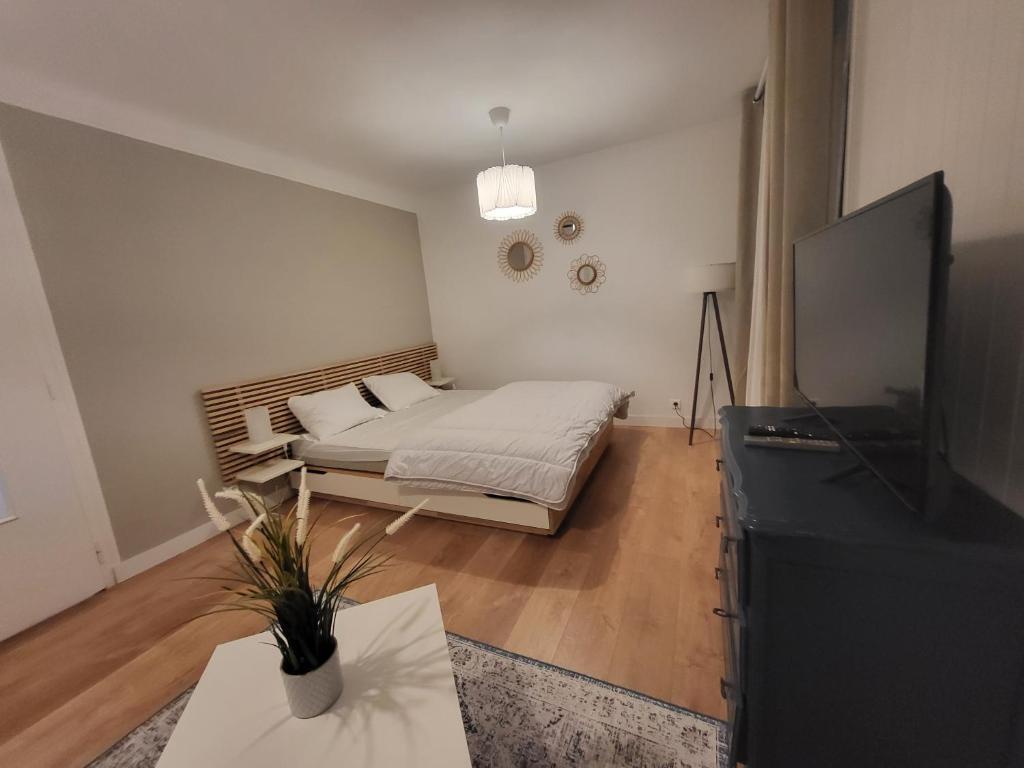 un salon avec un lit et une télévision dans l'établissement Appartement T1 bis 35m2 ANNECY proche centre ville, à Annecy