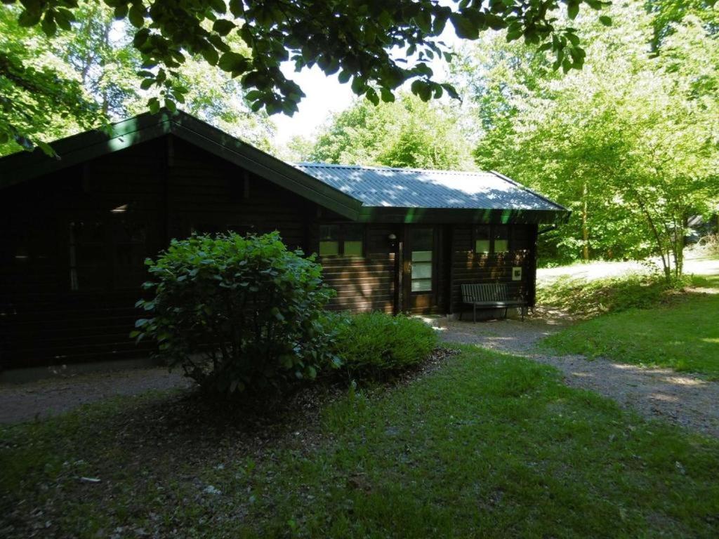 una cabaña de madera en medio de un parque en Twistesee Ferienhaus 110, en Bad Arolsen