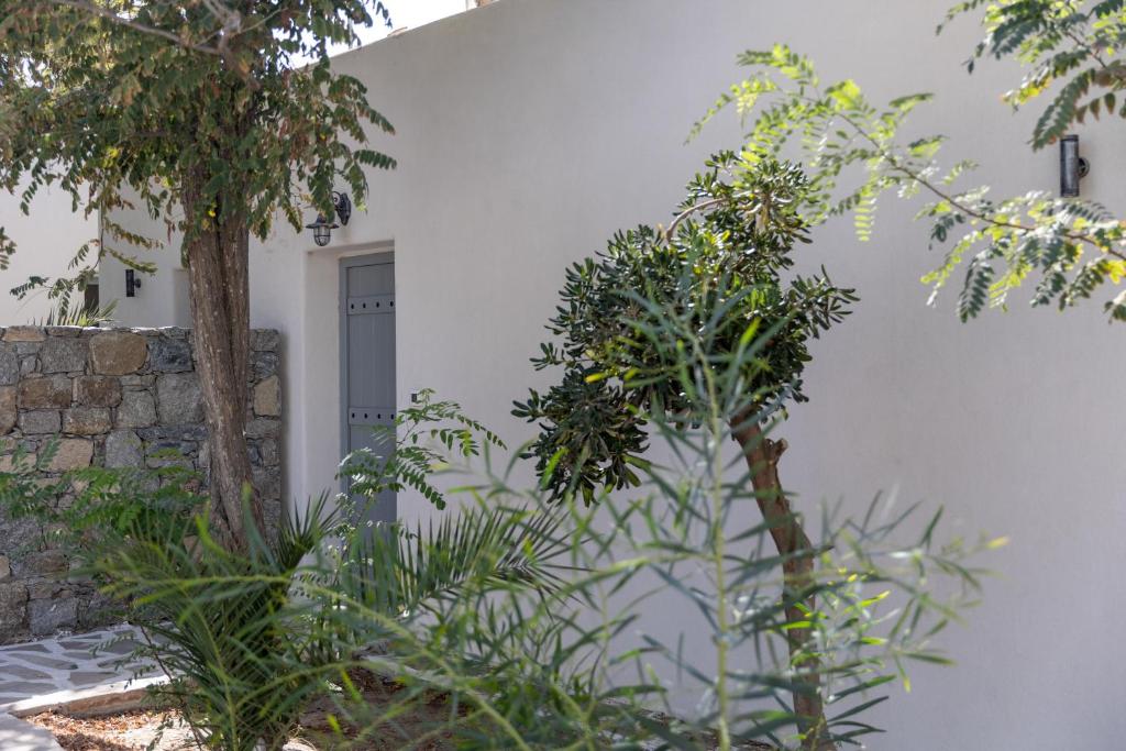 Zahrada ubytování Naxos green Village hotel