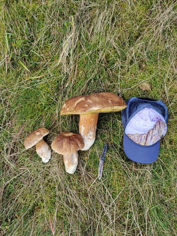 Fotografie z fotogalerie ubytování Apartmán U Zlaté břízy Krušné hory - Erzgebirge v destinaci Horní Blatná