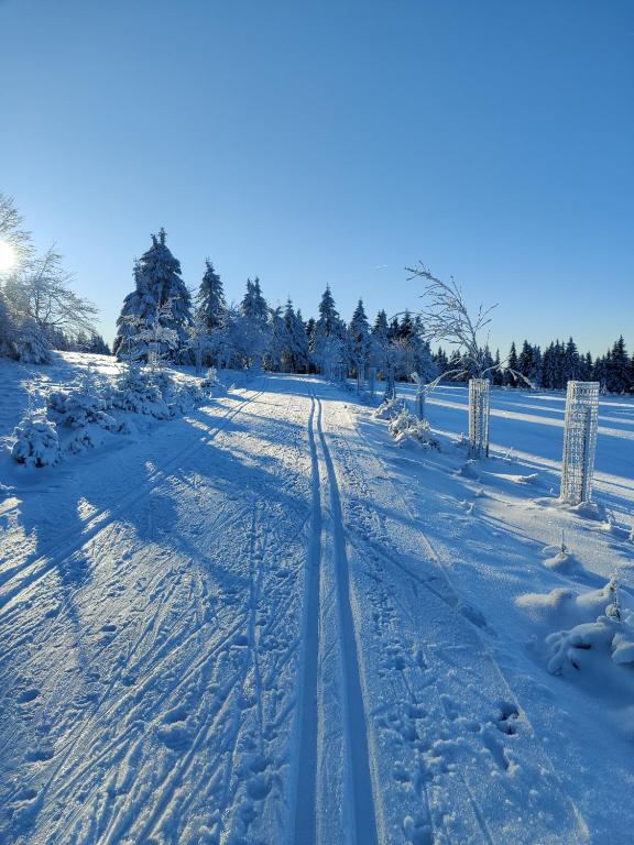 Apartmán U Zlaté břízy Krušné hory - Erzgebirge v zimě