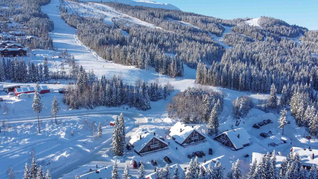 a snow covered mountain with houses and trees w obiekcie Bakkebyvegen 22B w mieście Trysil