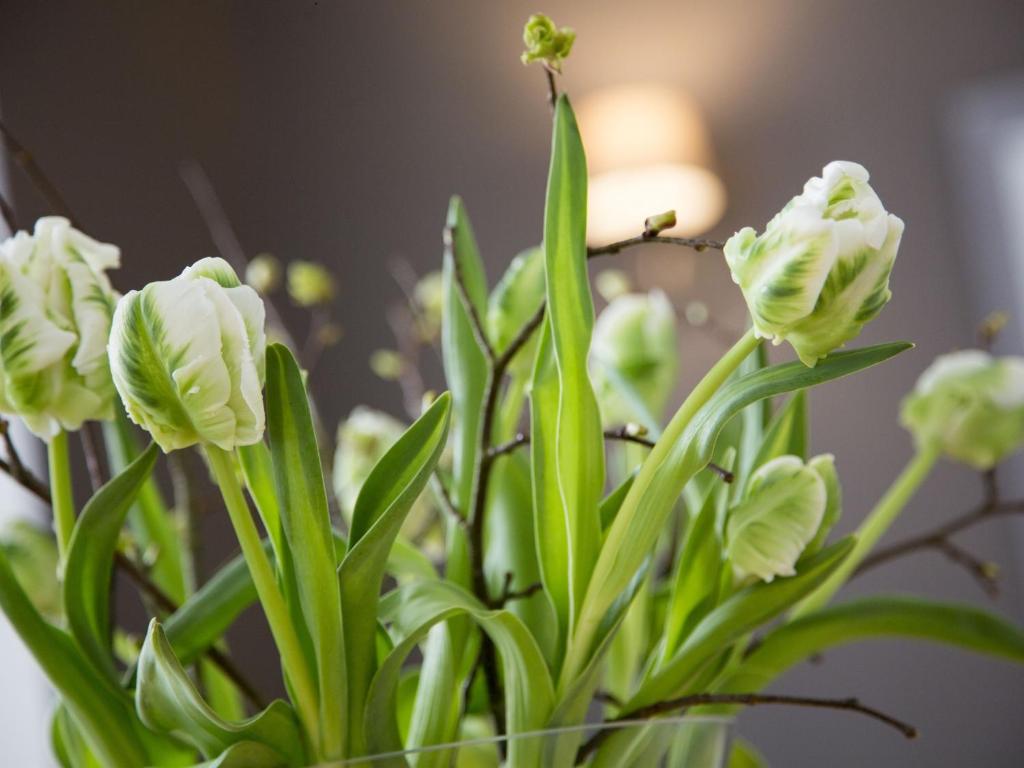 La Chartreuse - Bordeaux - 4