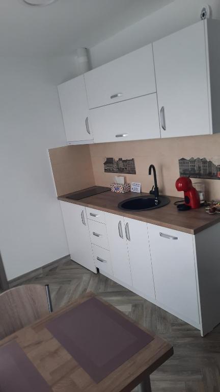 Kuchyň nebo kuchyňský kout v ubytování *Studio David*