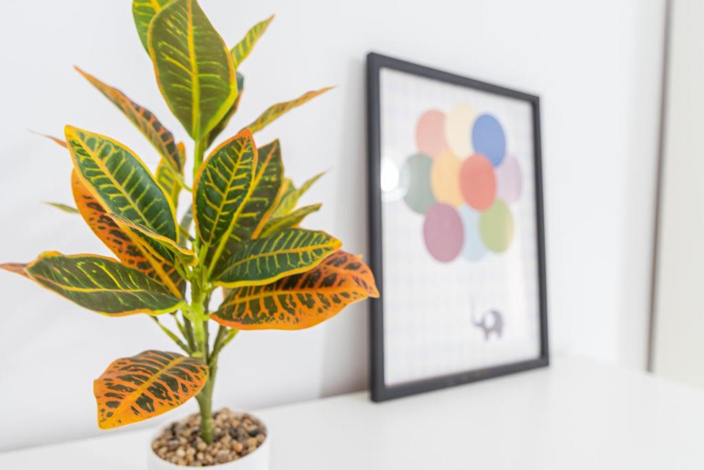 Fotografie z fotogalerie ubytování Apartamento Cadiz Be Kind v destinaci Cádiz