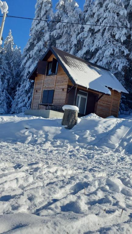 Cabaña de madera en la nieve con árboles nevados en Planinska kuća Jabuka en Prijepolje