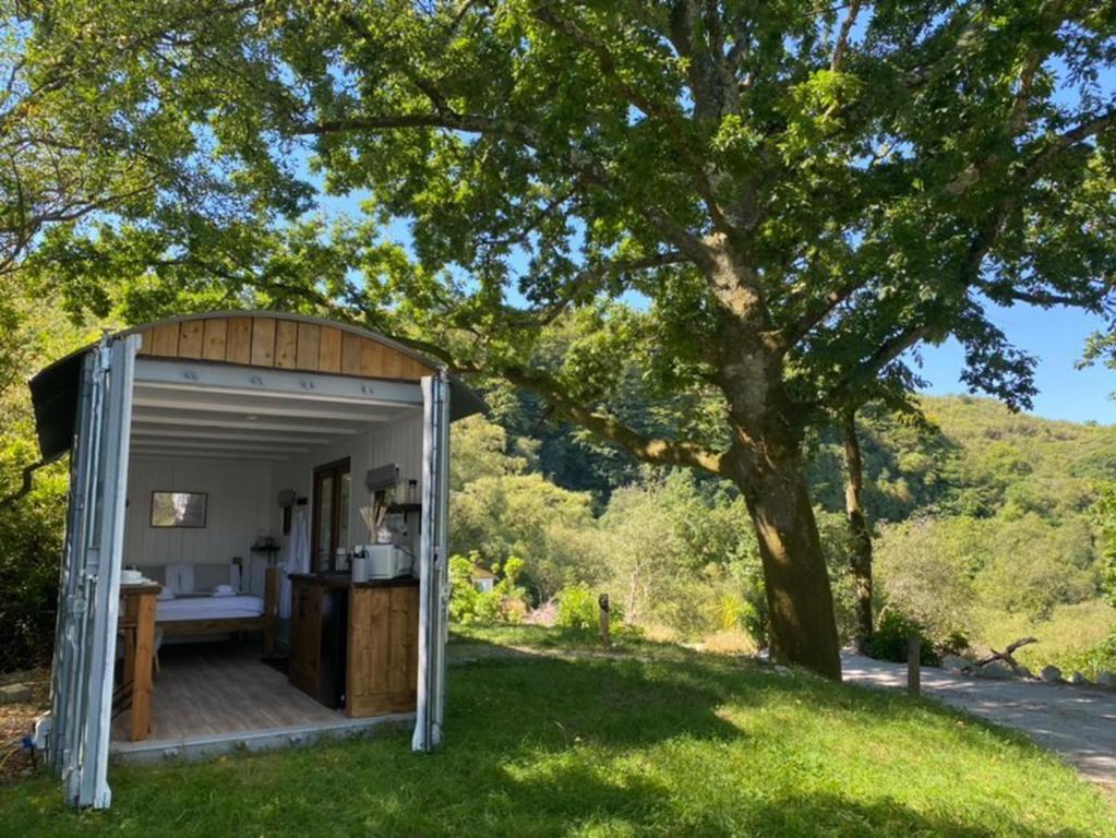 a small shed in the grass under a tree at Trethowels Grey Hidden hut in St Austell