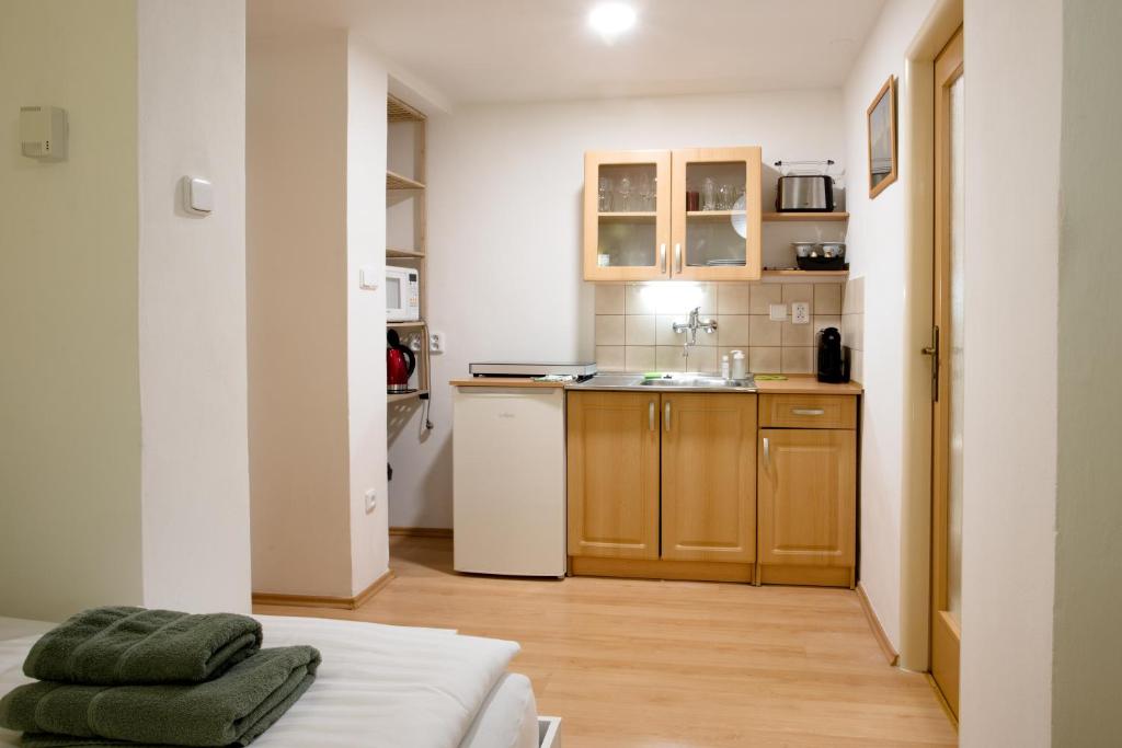 Kuchyň nebo kuchyňský kout v ubytování Apartmány Bramborka