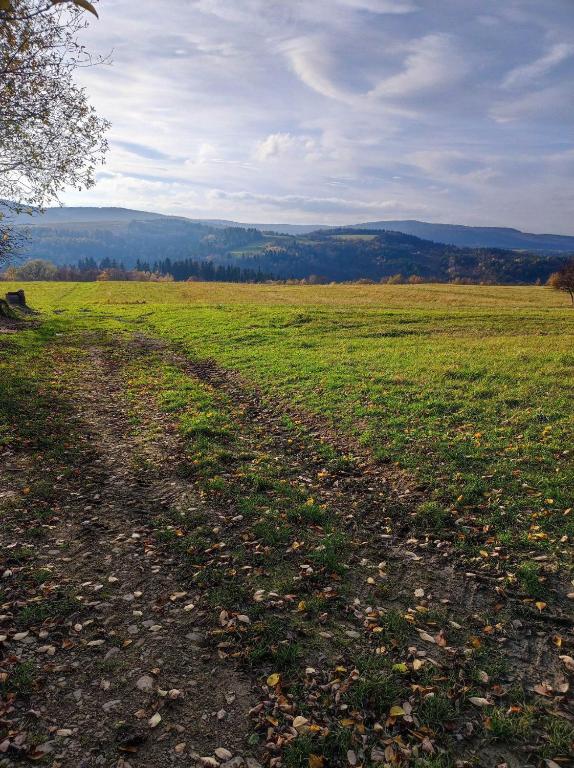 Príroda v okolí horskej chaty