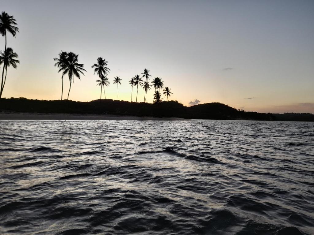 a body of water with palm trees in the background at Pousada Águas de Tamandaré in Tamandaré