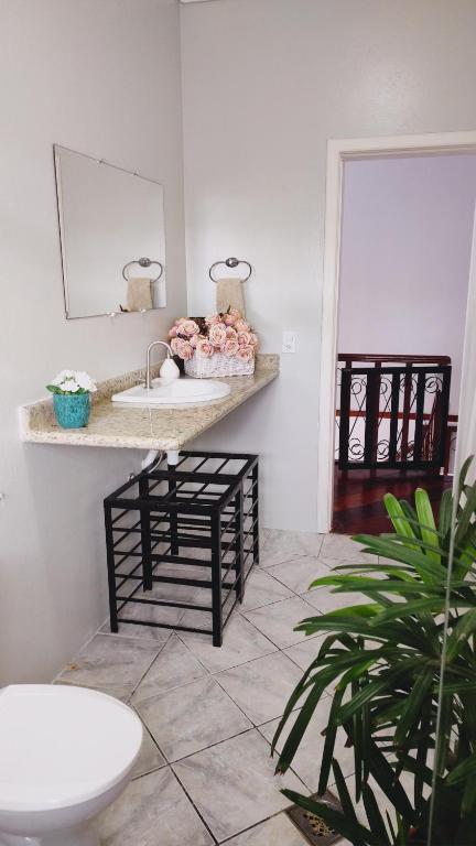 a bathroom with a sink and a counter with a plant at Tartaruga Marinha Guest House in Ubatuba