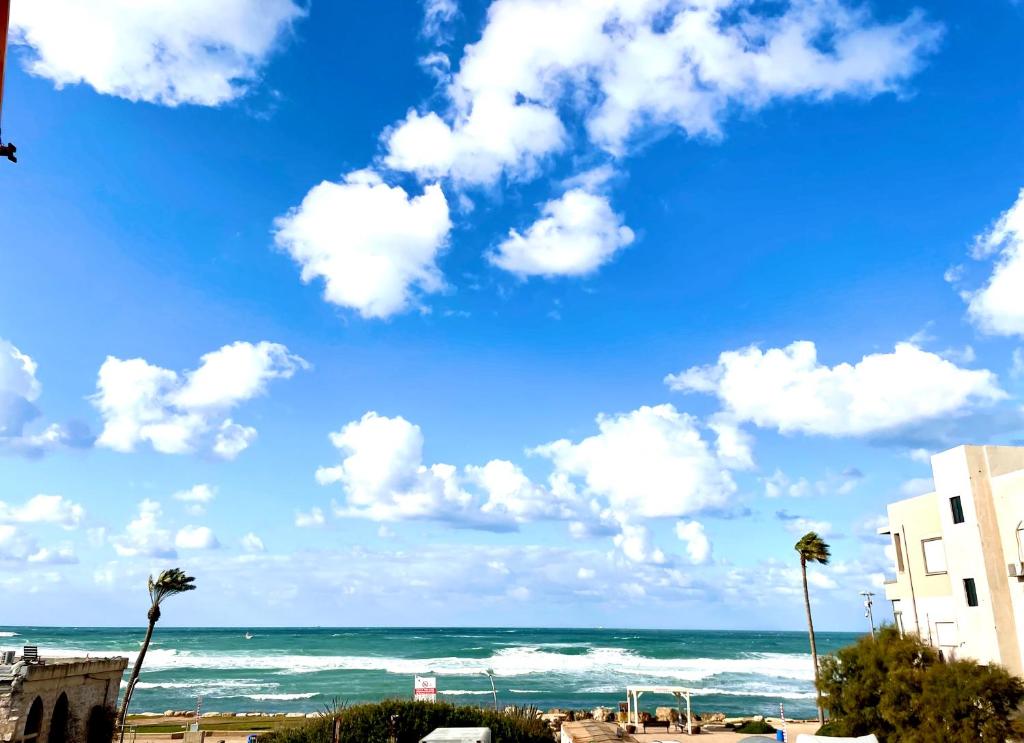 - Vistas a la playa, con palmeras y al océano en Sea view cozy apartment, en Haifa