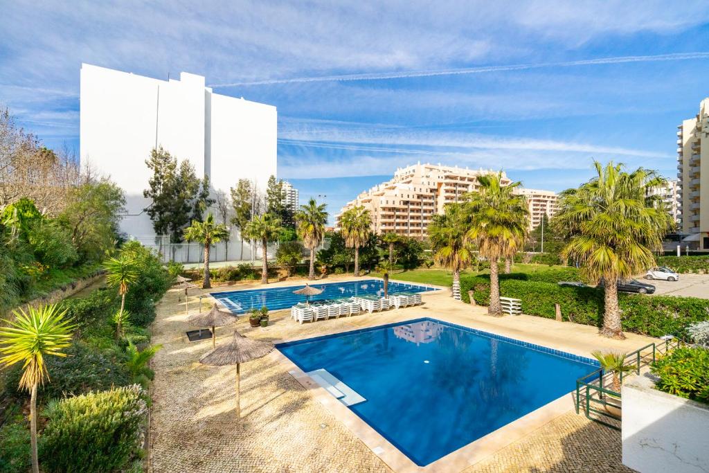 uma vista sobre uma piscina com palmeiras e edifícios em PRAIA DA ROCHA, 4ºB Jardins da Rocha, Charming Studio, near the Sea, By IG em Portimão