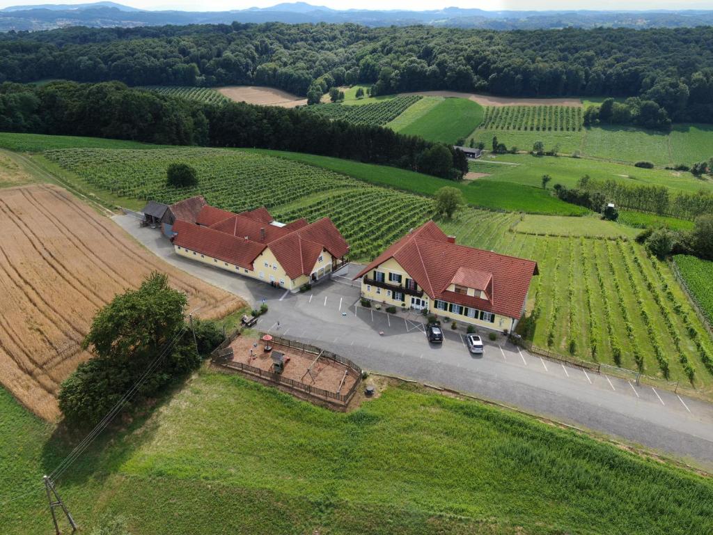 an aerial view of a house in the middle of a field at Pension Rucksackpeter in Hohenbrugg an der Raab